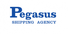 Pegasus Shipping Logo - A Member Of Nelson Business Network